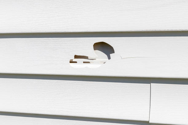 Best Historical Building Siding Restoration  in Riverview, MI