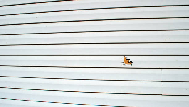 Affordable siding repair and maintenance services in Riverview, MI