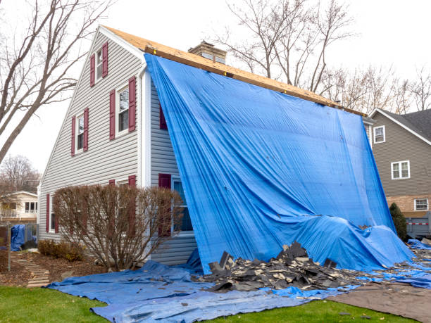 Best Fascia and Soffit Installation  in Riverview, MI