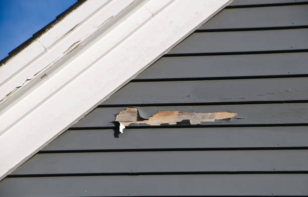 Best Brick Veneer Siding  in Riverview, MI