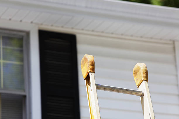 Best Insulated Siding Installation  in Riverview, MI