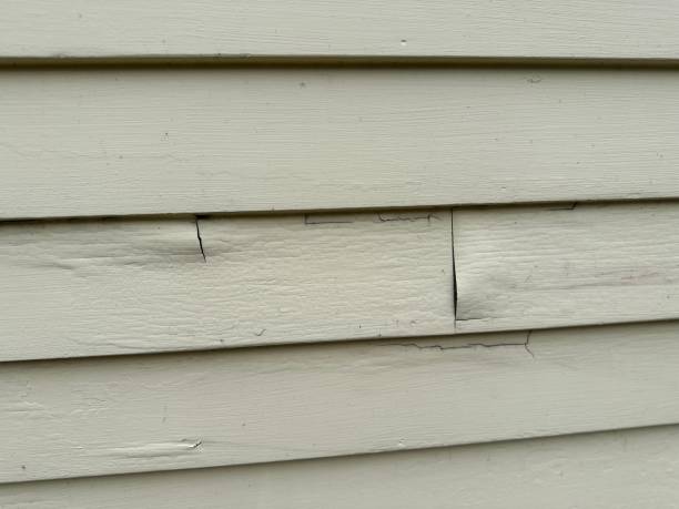 Best Siding Replacement  in Riverview, MI