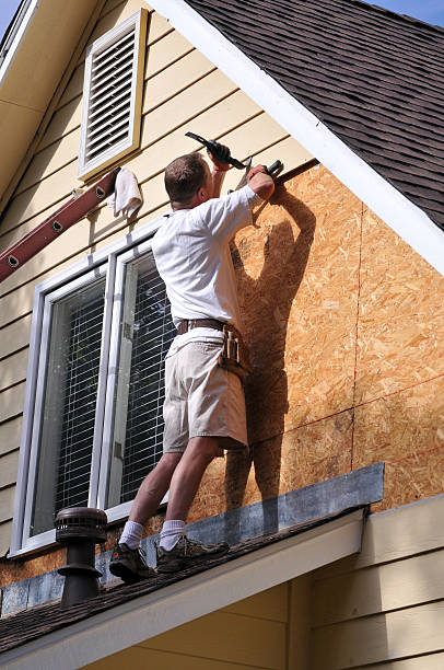 Best Siding Painting and Refinishing  in Riverview, MI